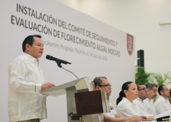Encienden la alerta en costas de Yucatán; así vigilarán la marea roja