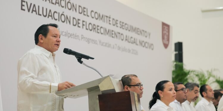 Encienden la alerta en costas de Yucatán; así vigilarán la marea roja
