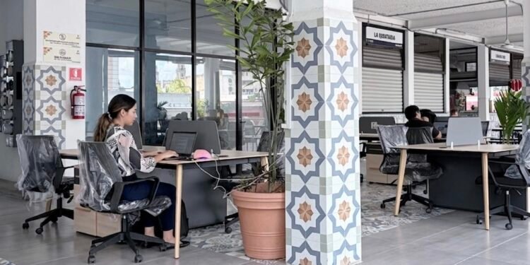 ¿Trabajas desde casa? Ahora puedes hacerlo gratis… ¡desde el mercado Lucas de Gálvez!