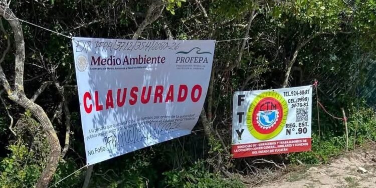 Frenan proyecto inmobiliario en Chuburná; clausuran predio donde buscaban construir Las Dunas