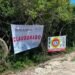 Frenan proyecto inmobiliario en Chuburná; clausuran predio donde buscaban construir Las Dunas