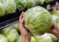 FDA rectifica análisis de lechuga mexicana por brote de “diarrea explosiva”; aún investiga el origen
