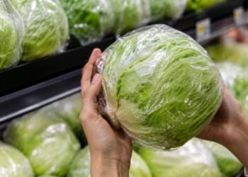 FDA rectifica análisis de lechuga mexicana por brote de “diarrea explosiva”; aún investiga el origen