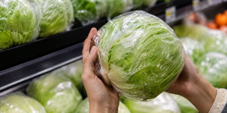 FDA rectifica análisis de lechuga mexicana por brote de “diarrea explosiva”; aún investiga el origen