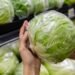 FDA rectifica análisis de lechuga mexicana por brote de “diarrea explosiva”; aún investiga el origen