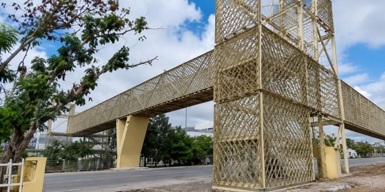 Puentes peatonales olvidados tendrán nueva vida; invertirán 5 millones de pesos