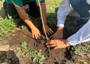 ¿Te imaginas una Mérida con 8 mil 500 árboles más? Ya van 2 mil