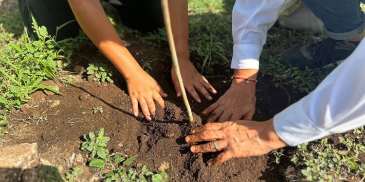 ¿Te imaginas una Mérida con 8 mil 500 árboles más? Ya van 2 mil