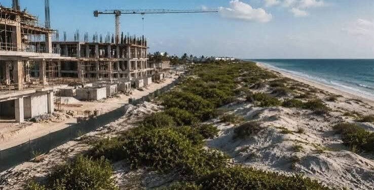 ¿Se violó la ley ambiental? CCE pide una investigación sin sesgos en Chuburná Puerto
