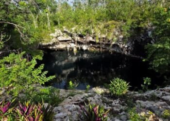 Descubren a ‘Yatzil’ en cenote de Playa del Carmen, una mujer que vivió hace siglos