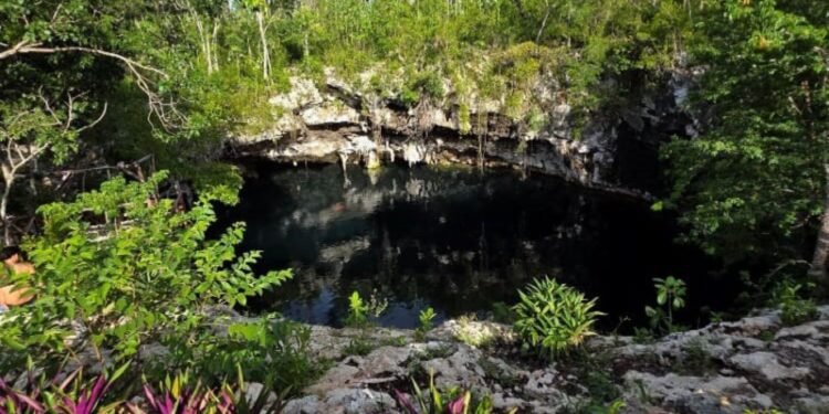Descubren a ‘Yatzil’ en cenote de Playa del Carmen, una mujer que vivió hace siglos