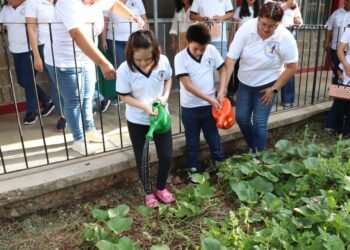 ¿Sembrar también educa? Así transforman la enseñanza en la Milpa Maya