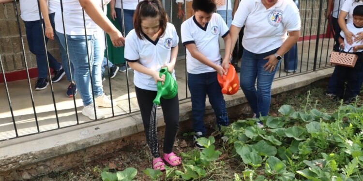 ¿Sembrar también educa? Así transforman la enseñanza en la Milpa Maya