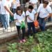 ¿Sembrar también educa? Así transforman la enseñanza en la Milpa Maya