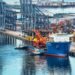 Hutchison Ports apuesta por infraestructura verde en Lázaro Cárdenas