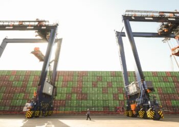 Hutchison Ports TIMSA invierte 70 mdp para modernizar el Puerto de Manzanillo