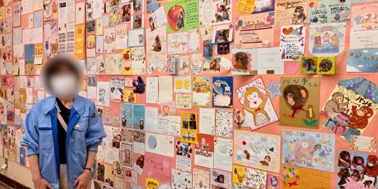 ¡Miles de cartas para Punch! Así celebrarán su primer cumpleaños