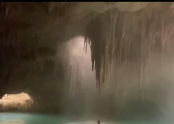 ¿Vale la pena el costo ambiental? National Geographic cuestiona obras del Tren Maya