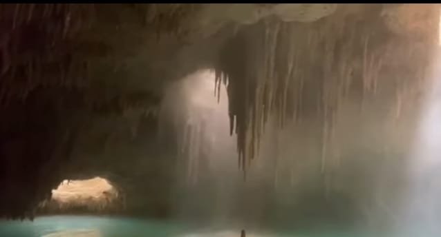 ¿Vale la pena el costo ambiental? National Geographic cuestiona obras del Tren Maya