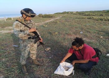 Frenan saqueo de tortuga golfina: recuperan 5,100 huevos en santuario de Oaxaca