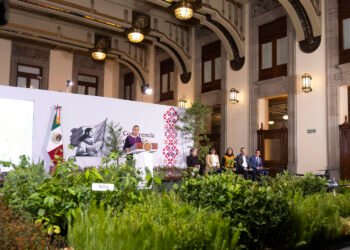 ¿Quieres ayudar al planeta? Este domingo millones de árboles serán sembrados en todo México