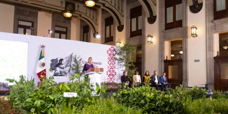 ¿Quieres ayudar al planeta? Este domingo millones de árboles serán sembrados en todo México