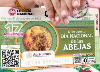 De las colmenas de Yucatán a millones de cachitos; la abeja melipona protagoniza sorteo nacional