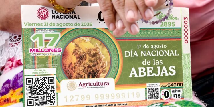De las colmenas de Yucatán a millones de cachitos; la abeja melipona protagoniza sorteo nacional
