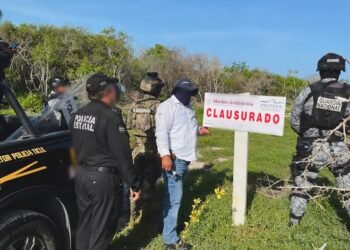 Profepa clausura 17 polígonos por daño ambiental en la Reserva de Celestún