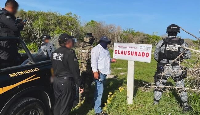 Profepa clausura 17 polígonos por daño ambiental en la Reserva de Celestún