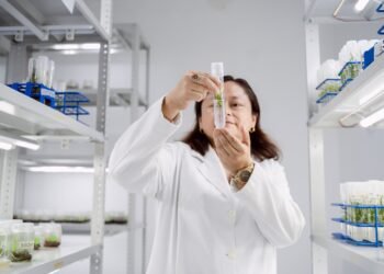 ¿Pueden las plantas resolver retos del futuro? Científicos buscarán respuestas
