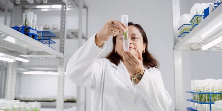 ¿Pueden las plantas resolver retos del futuro? Científicos buscarán respuestas