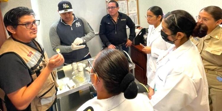 Van por el sello “libre de paludismo” tras más de 20 años sin casos locales