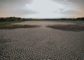 Yucatán empieza a quedarse seco: 13.5% del estado ya resiente la falta de lluvia