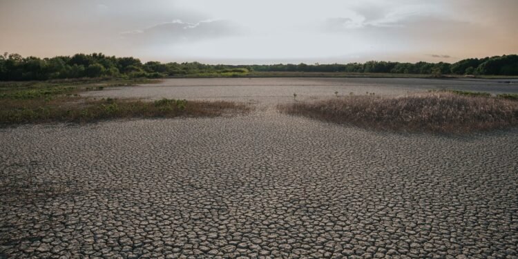 Yucatán empieza a quedarse seco: 13.5% del estado ya resiente la falta de lluvia