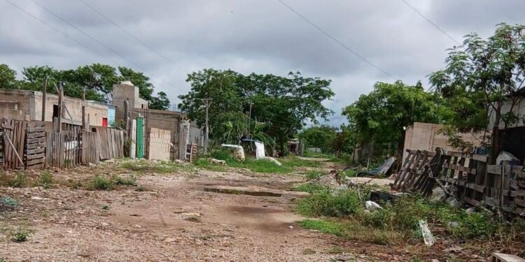 Cuidado con falsos vendedores de terrenos; más de 40 predios siguen en regularización