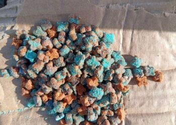 Alerta en Conkal para dueños de “lomitos”: reportan presuntas croquetas envenenadas