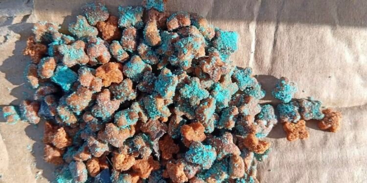 Alerta en Conkal para dueños de “lomitos”: reportan presuntas croquetas envenenadas