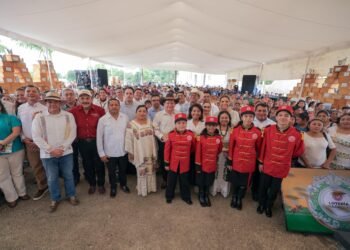 Buscan proteger la miel melipona con una Indicación Geográfica