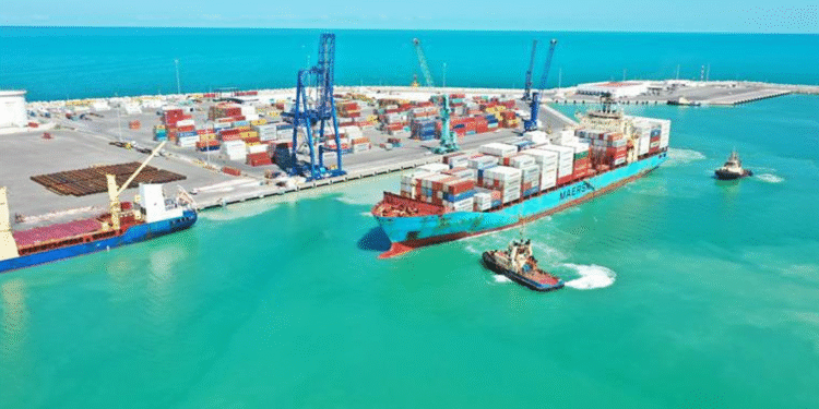 Más capacidad y nuevas conexiones: exportadores alistan estrategia en Progreso