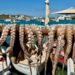 Alerta en Yucatán: Buzos furtivos capturan pulpo pese a graves riesgos