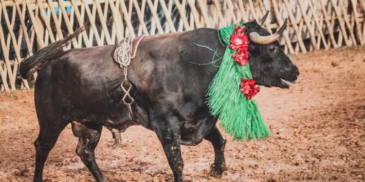 Taurinos y animalistas marcharán el mismo día en el Monumento a la Patria
