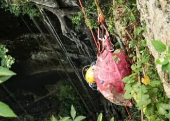 Rescatan cenotes: 14 cuerpos de agua reciben limpieza y saneamiento