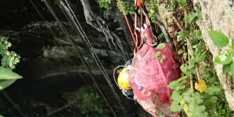 Rescatan cenotes: 14 cuerpos de agua reciben limpieza y saneamiento