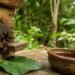 ¿Qué hace especial a esta abeja maya? Sus beneficios van más allá de la miel