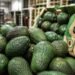 ¿Qué sucedió? USDA pone en pausa inspecciones en Michoacán; suspenden nuevos embarques de aguacate