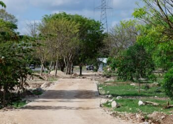 900 árboles transformarán Ciudad Caucel; así será el nuevo corredor verde
