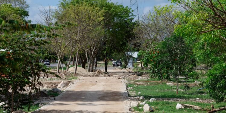 900 árboles transformarán Ciudad Caucel; así será el nuevo corredor verde