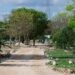 900 árboles transformarán Ciudad Caucel; así será el nuevo corredor verde