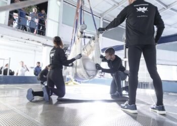 De Canadá a España: seis cetáceos vuelan siete horas para escapar de la eutanasia